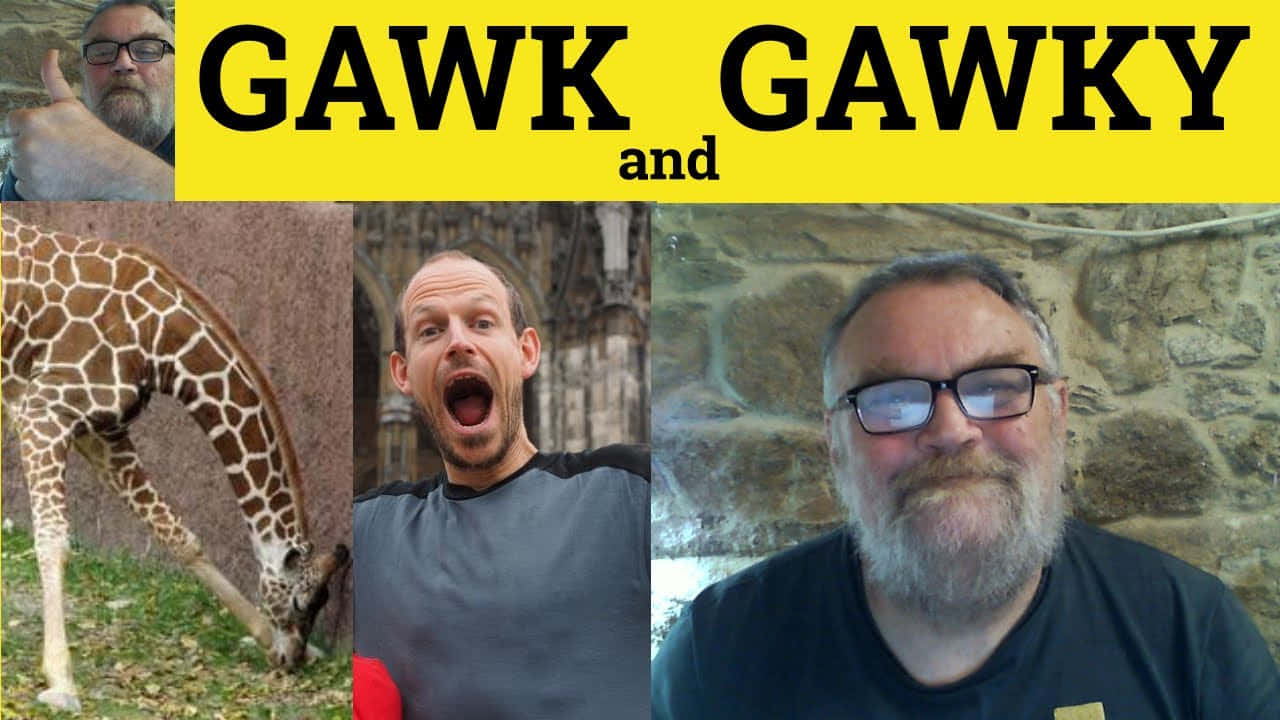 Gawky Men And A Giraffe Background