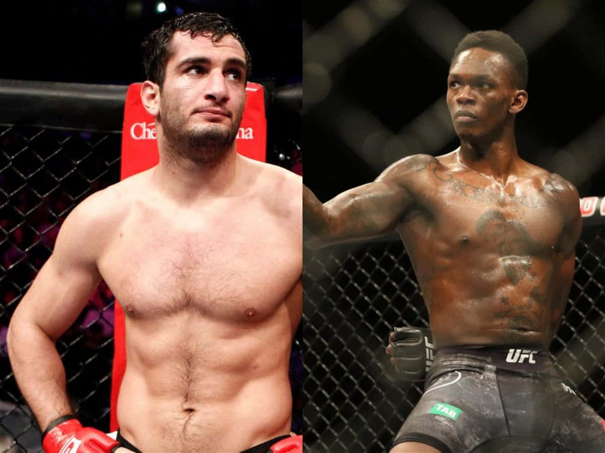 Gegard Mousasi And Israel Adesanya Comparison Background