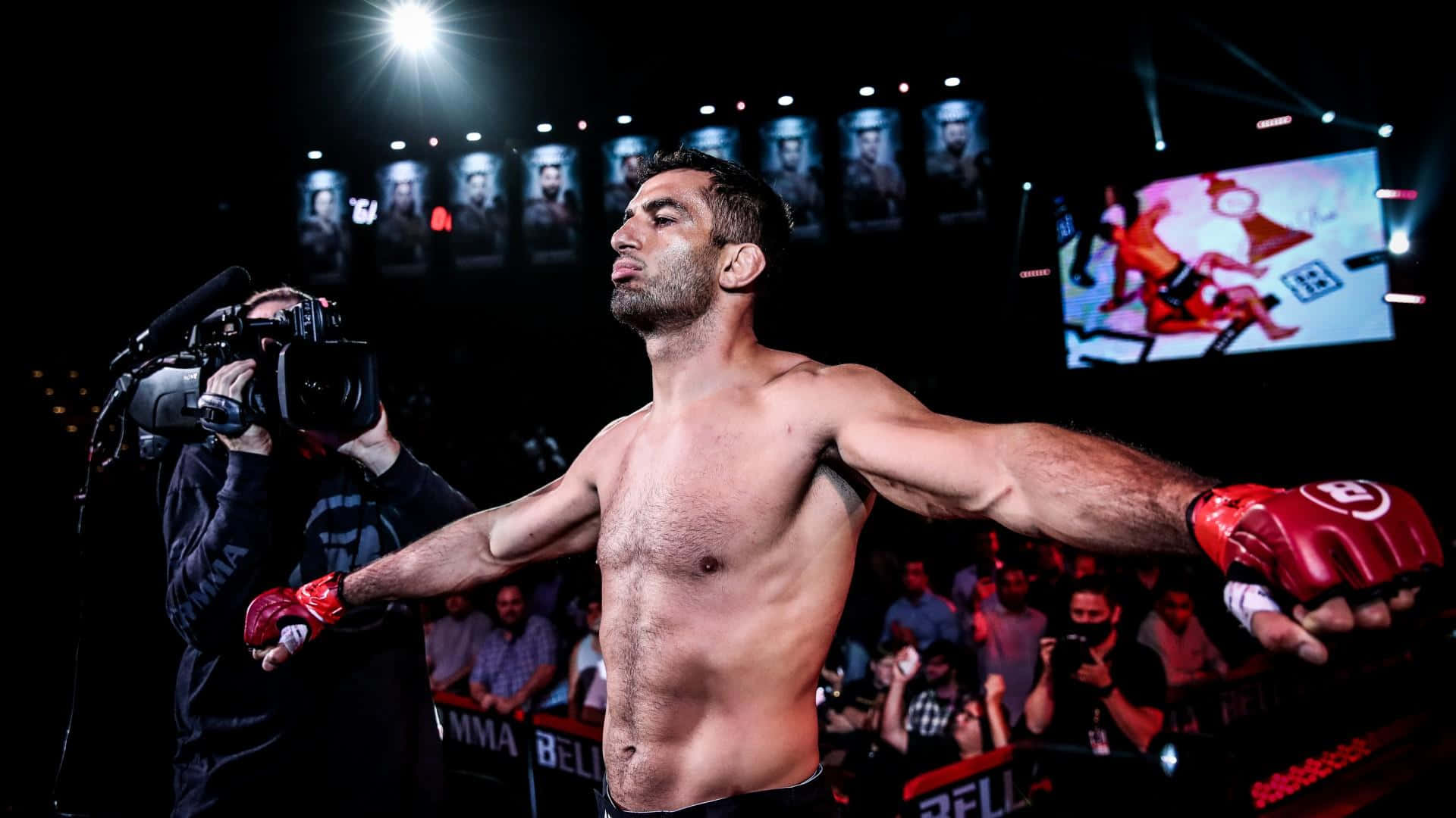 Gegard Mousasi Bellator 275 Entrance Background