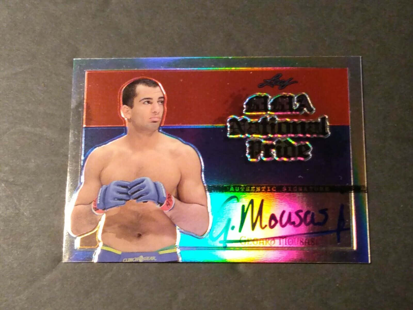 Gegard Mousasi Mma National Pride 2011 Background