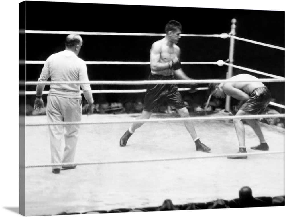 Gene Tunney-jack Dempsey's The Long Count Fight