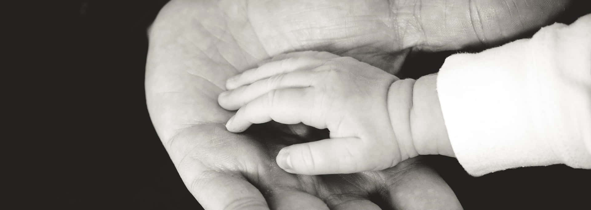 Generational Connection.jpg