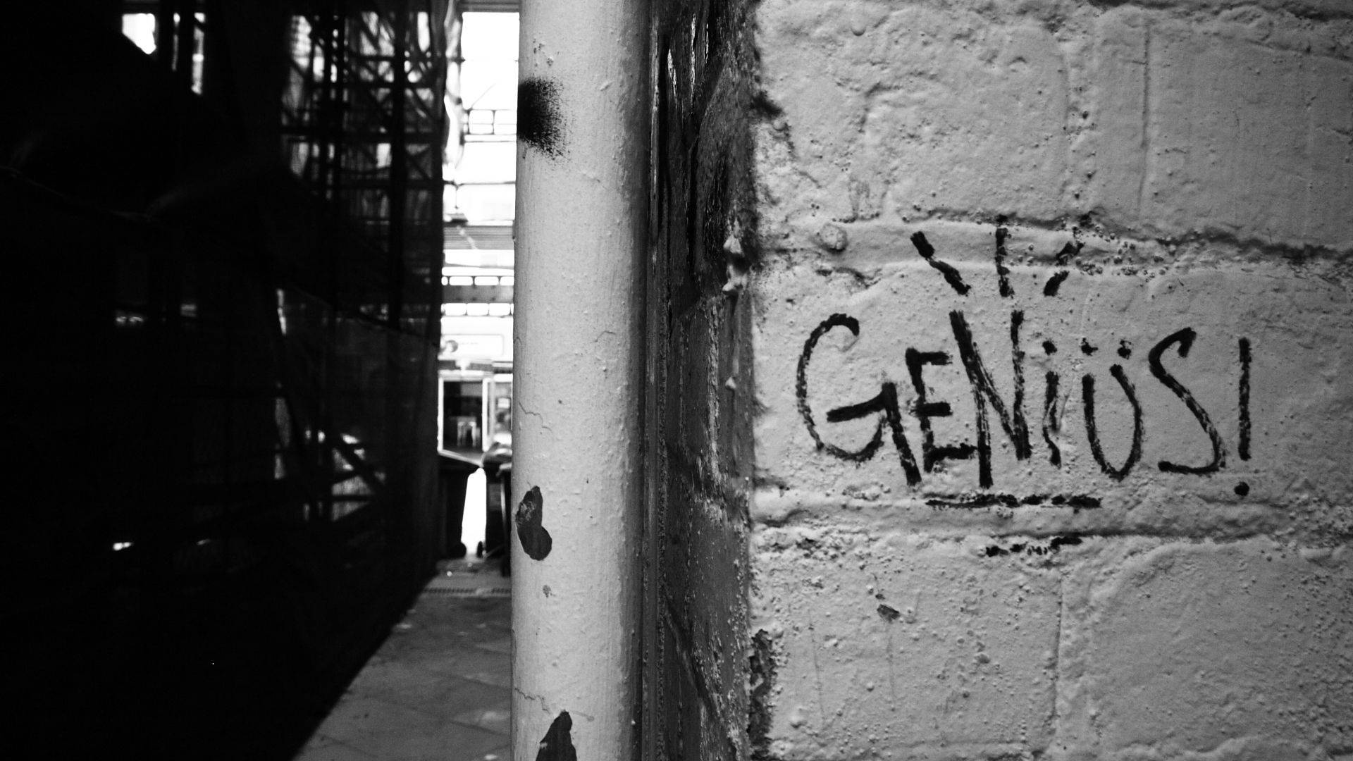 'genius' Word Urban Art Background