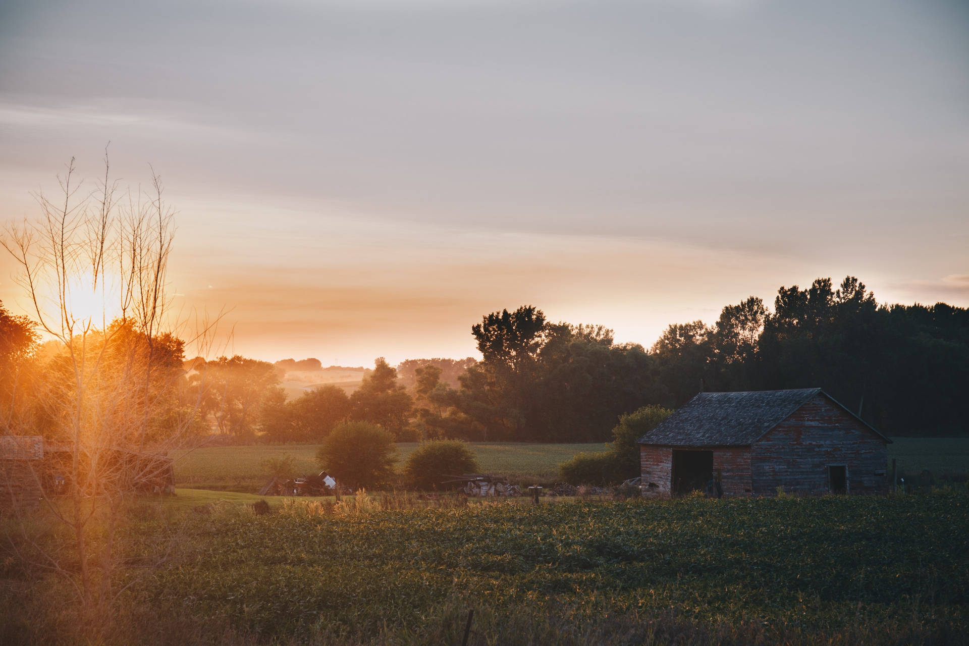 Gentle Farm Desktop Background