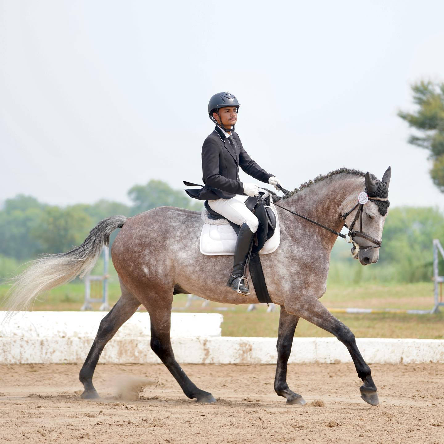 Gentleman Equestrian Horseback Riding Portrait Background