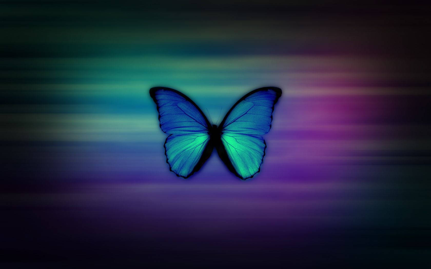 Genuine Blue Butterfly Background