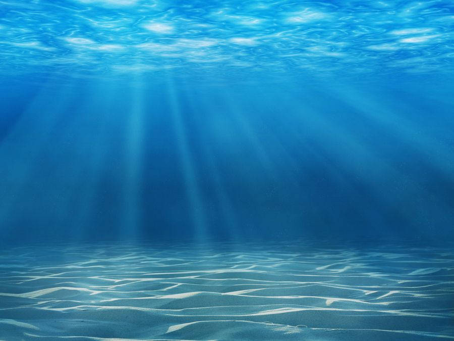 Genuine Ocean Light Background