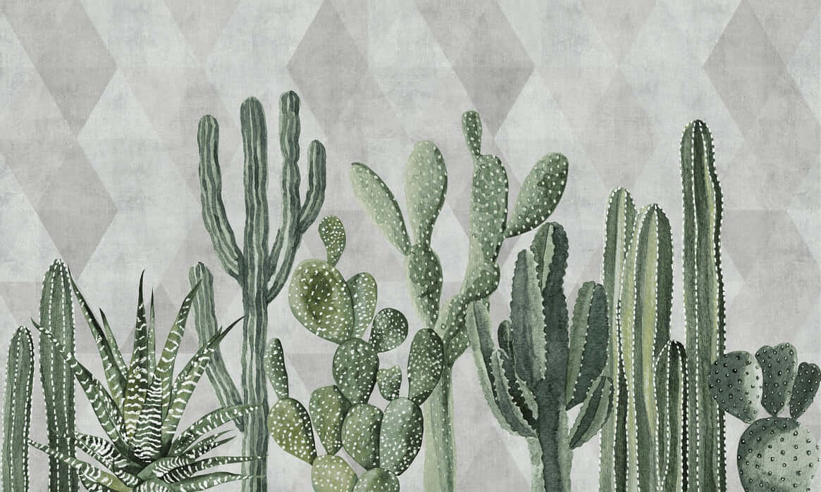 Geometric Background Cactus Collection Background
