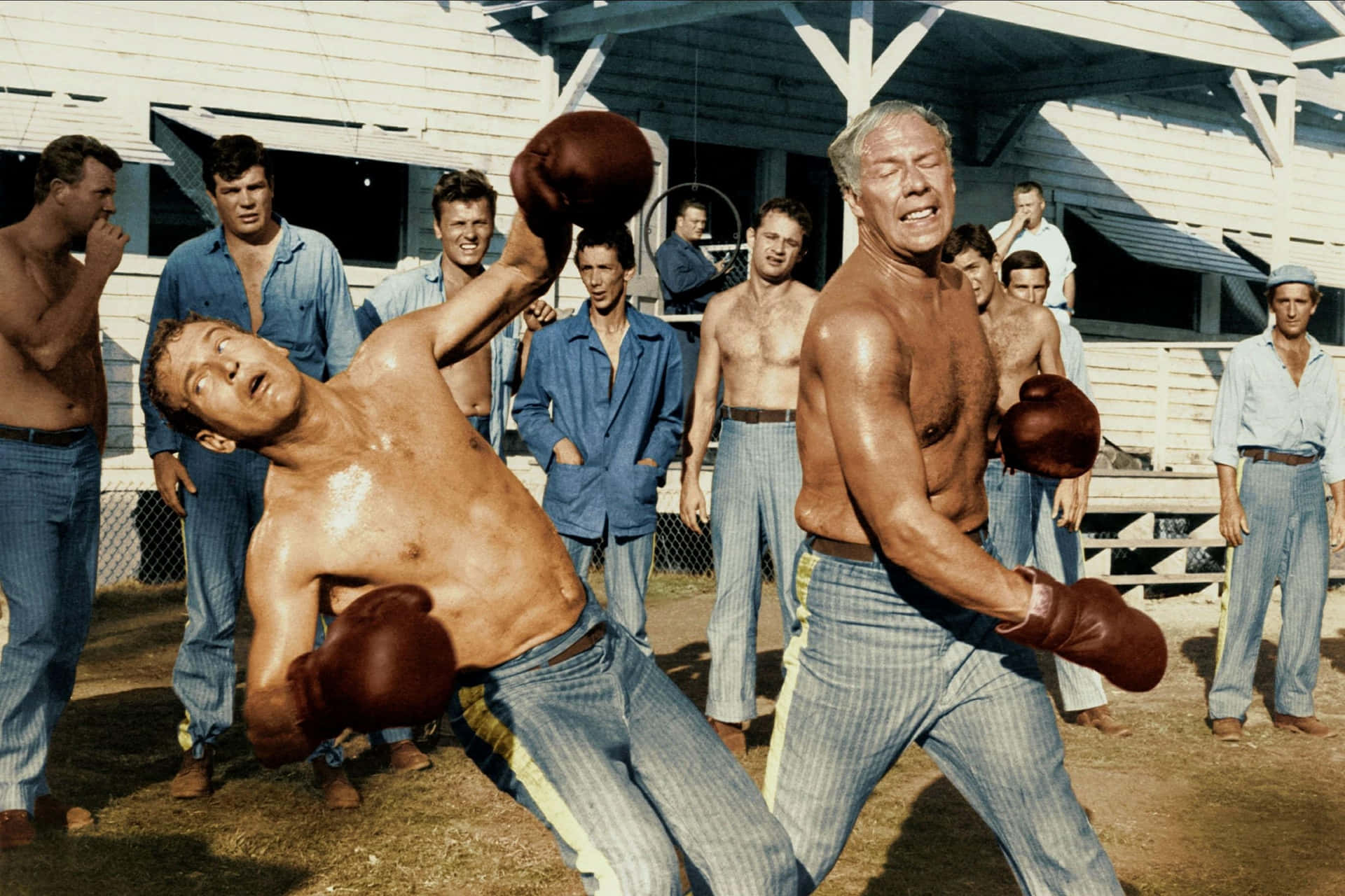 George Kennedy 2745 X 1830 Background