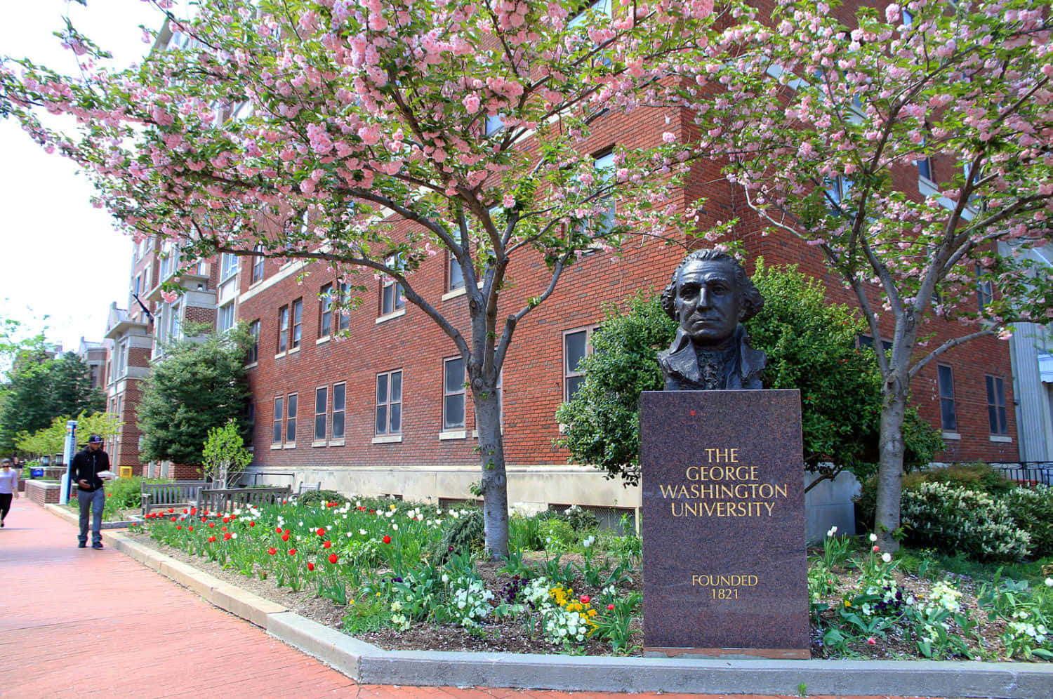 George Washington University Head Statue Background