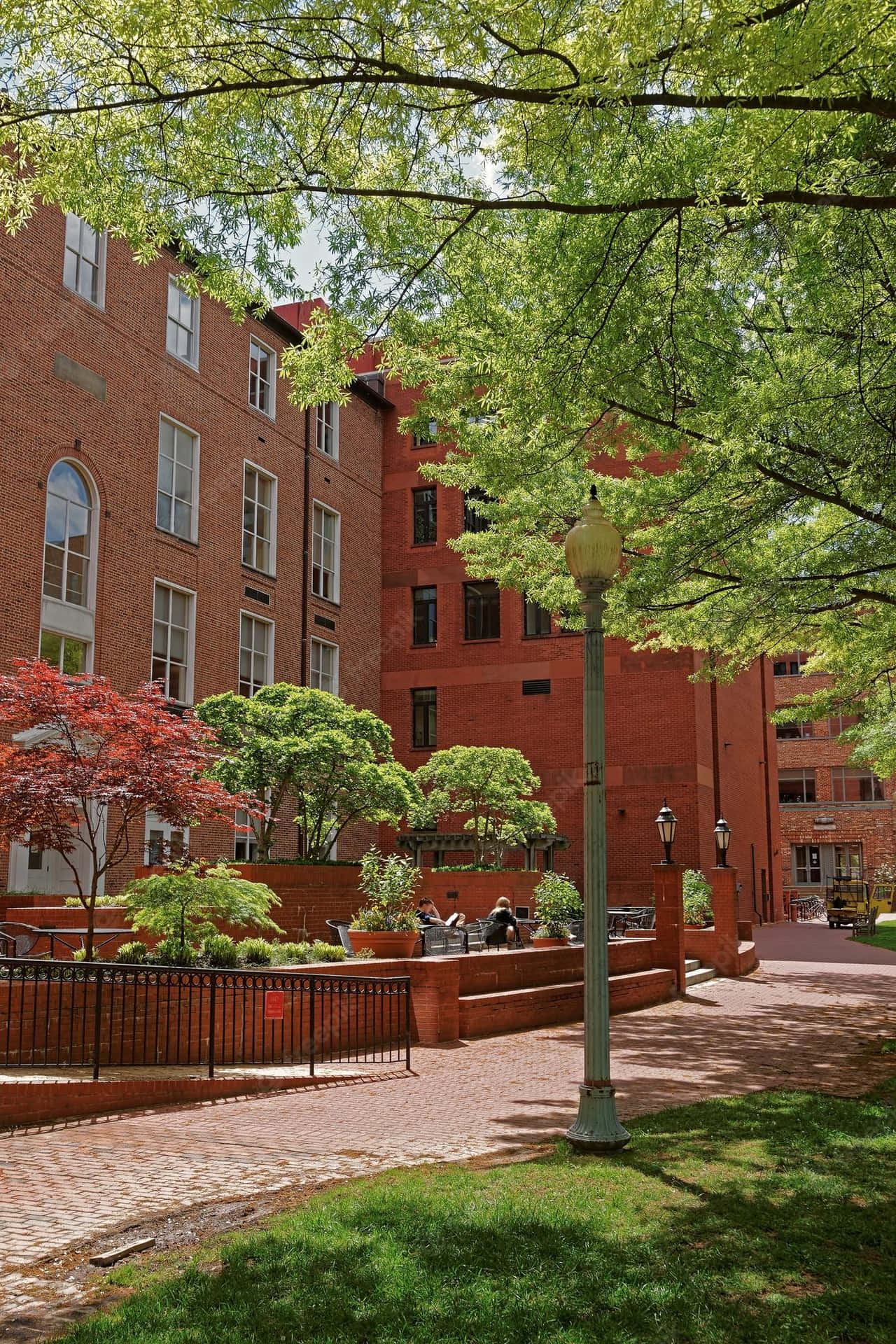 George Washington University Walkway Background