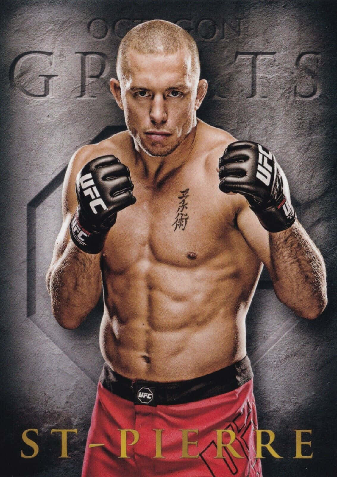 Georges St-pierre - A Mixed Martial Arts Master