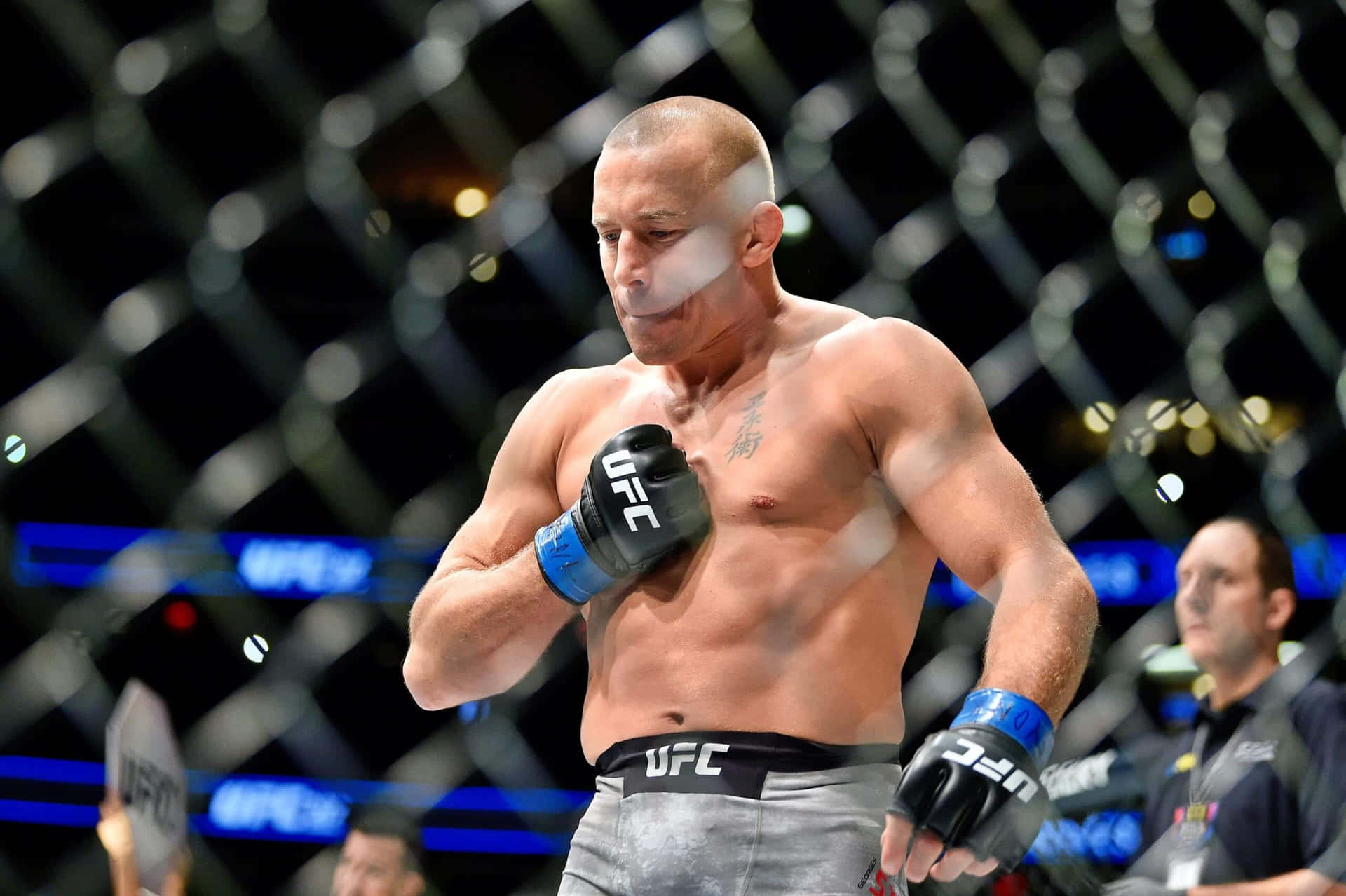 Georges St-pierre At Ufc 217