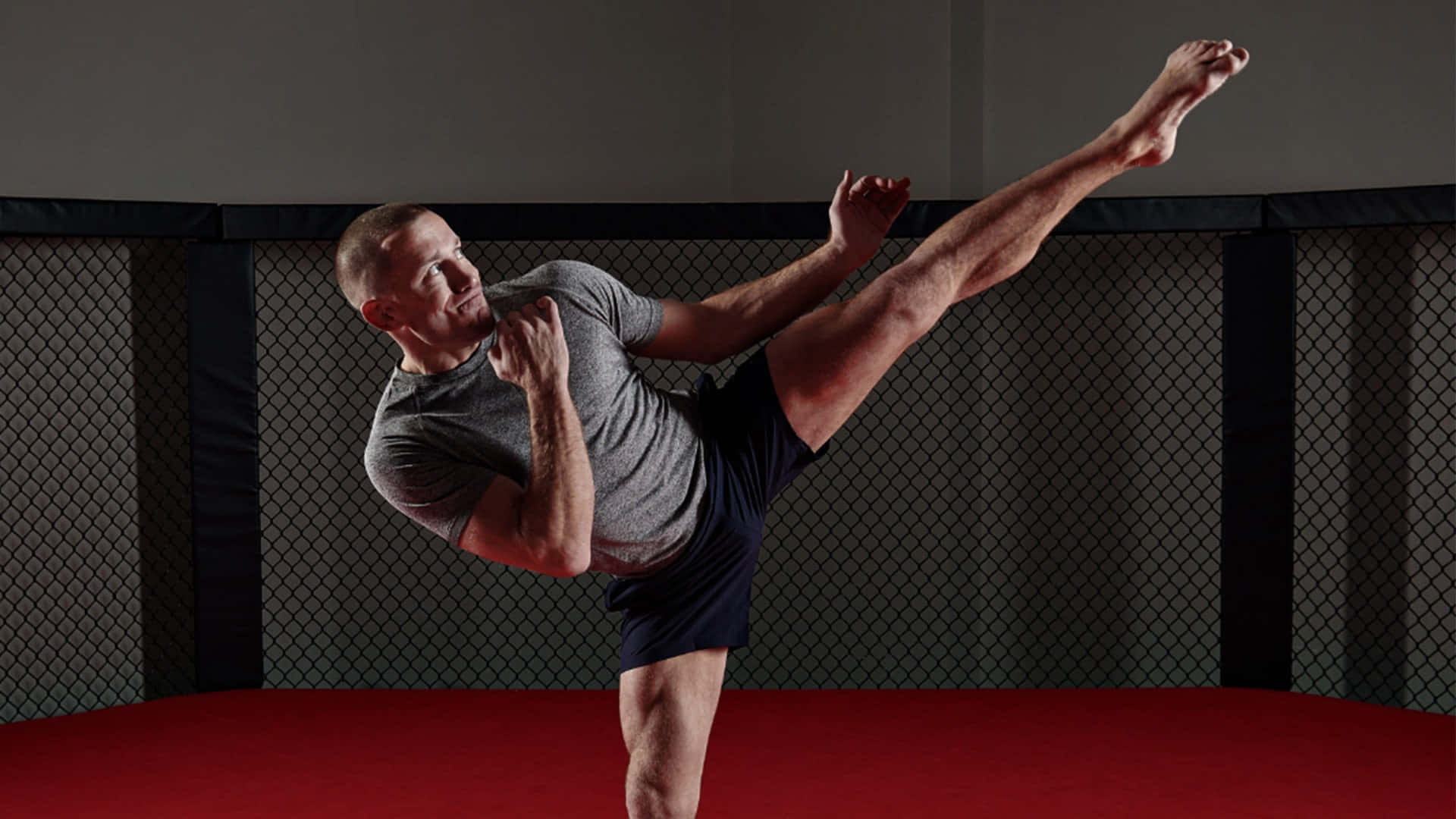 Georges St-pierre High Kick