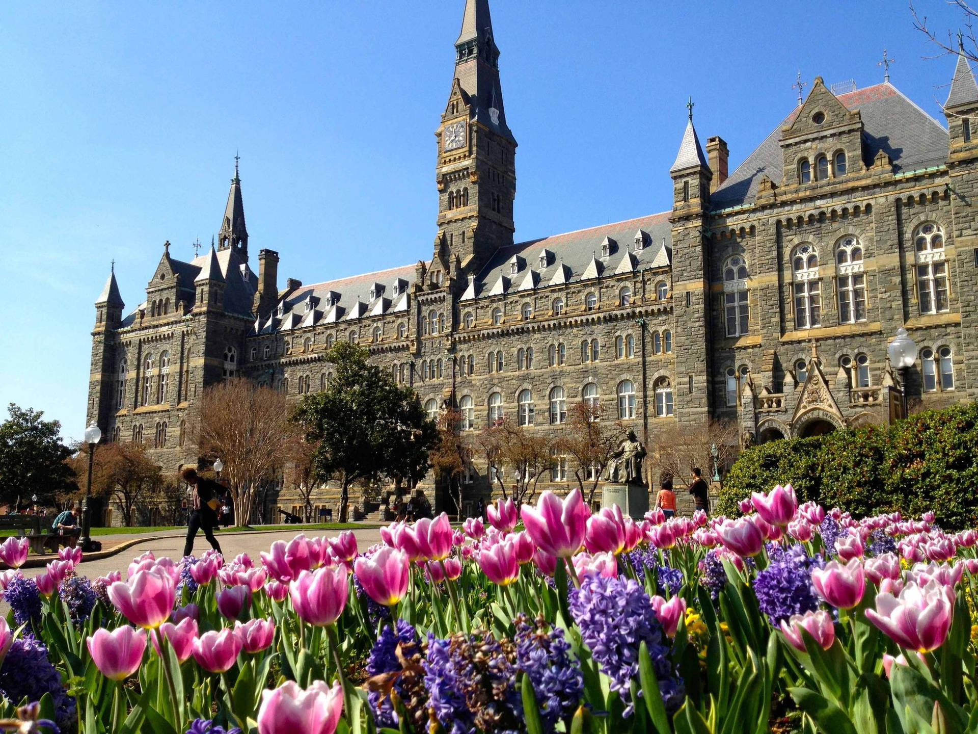 Georgetown Students Walking