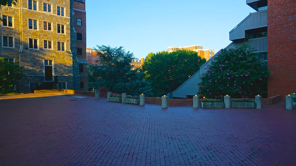 Georgetown University Brick Ground Background