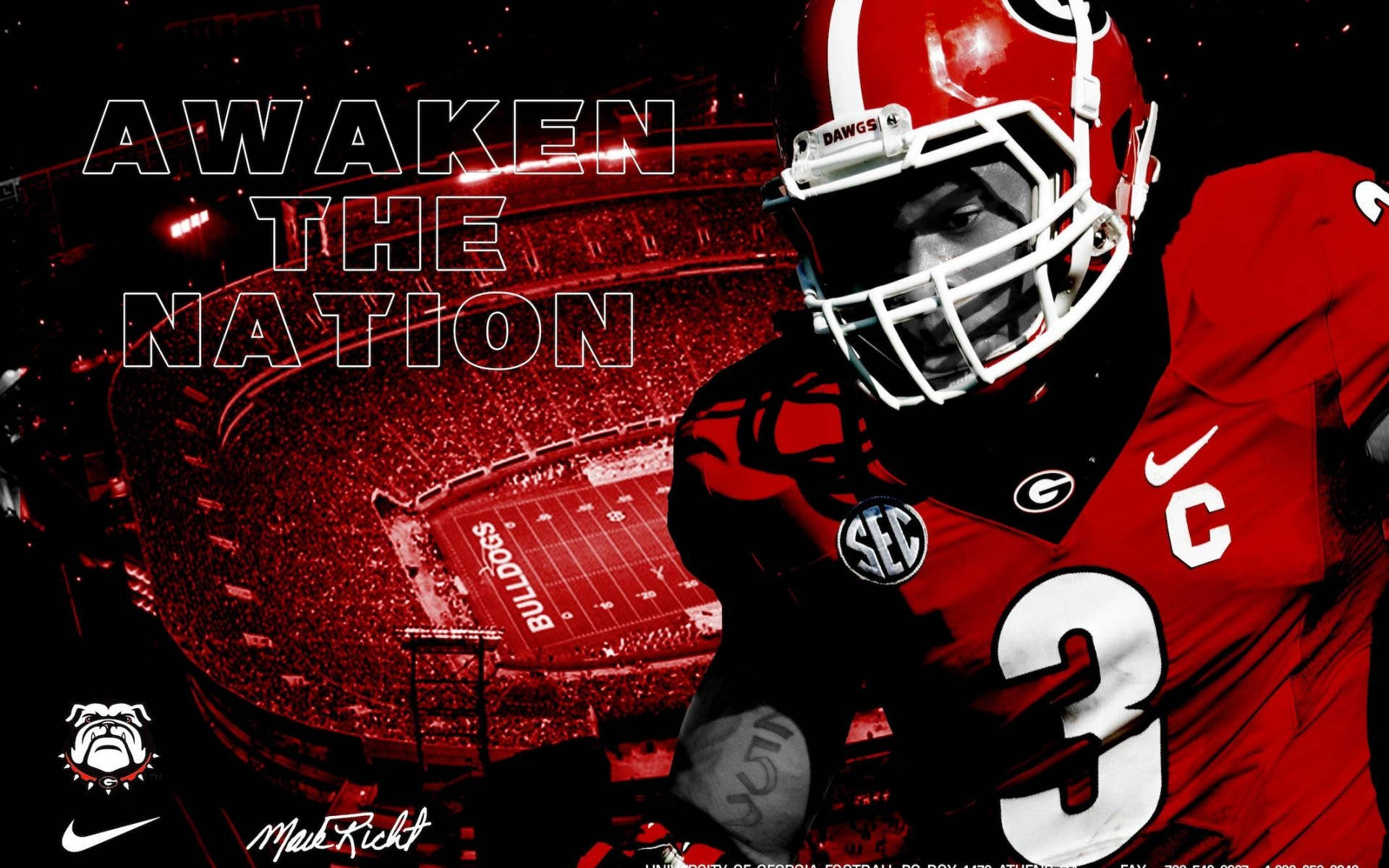 Georgia Bulldogs Awaken