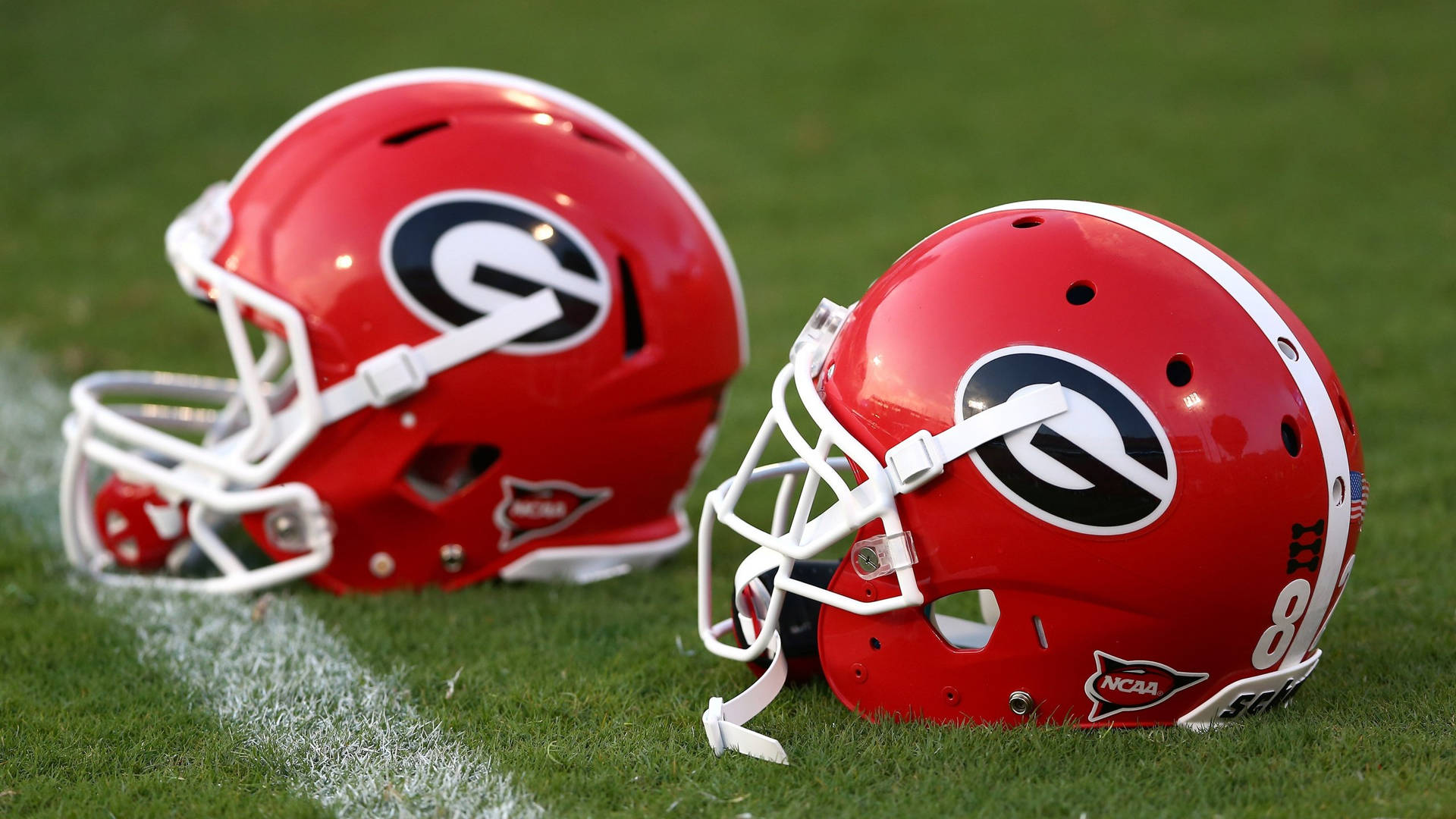 Georgia Bulldogs Ncaa