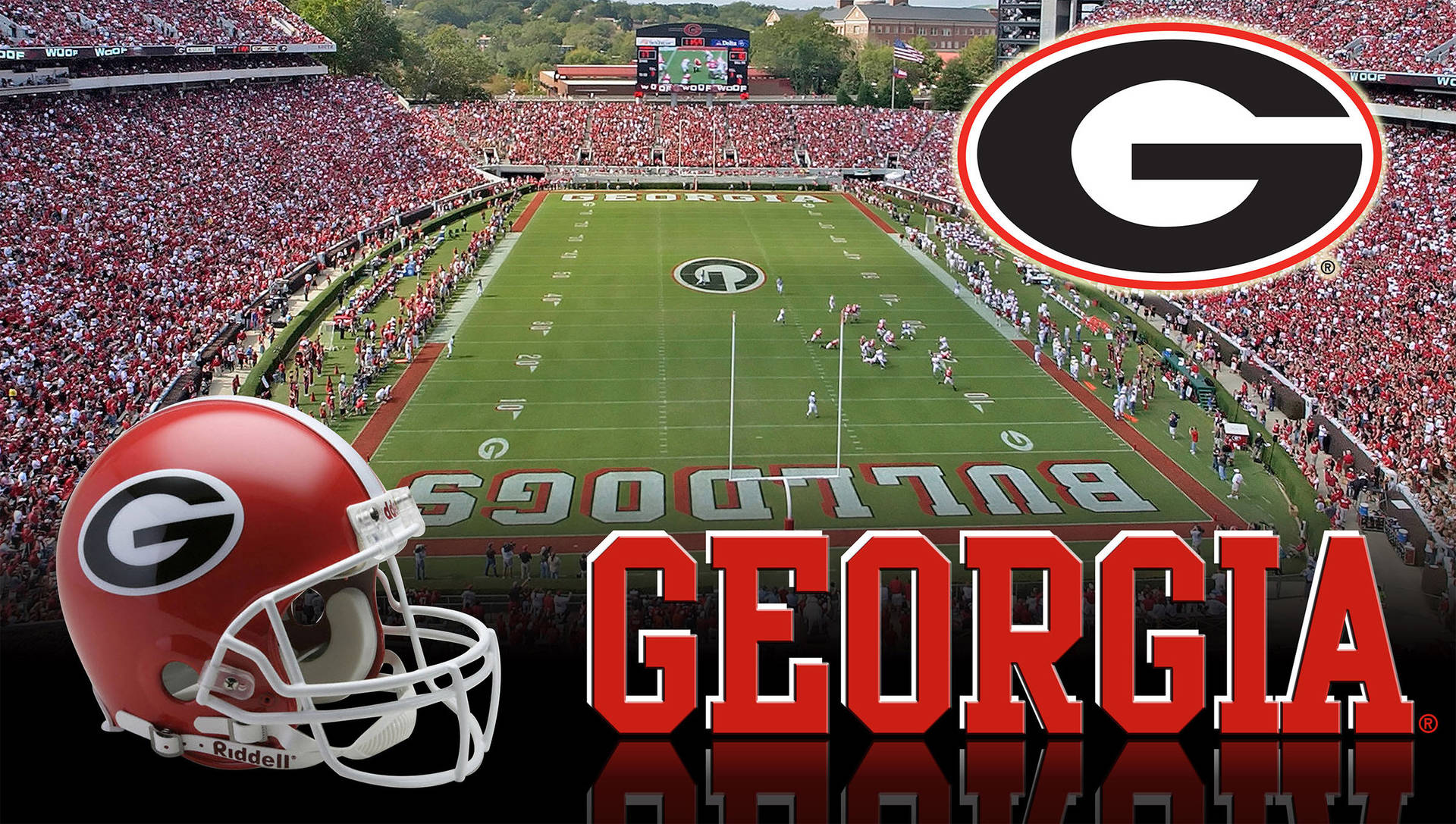 Georgia Bulldogs Stadium