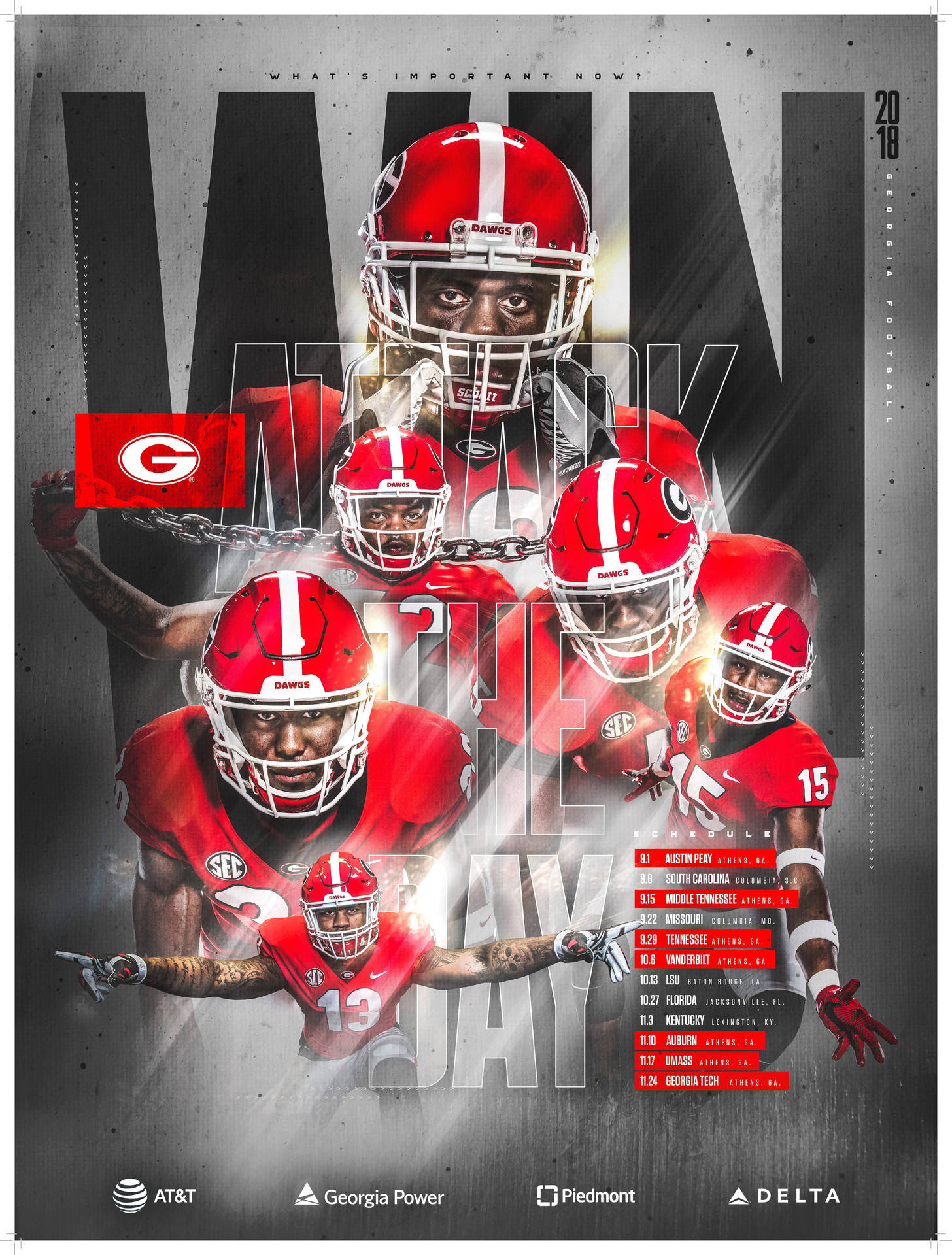 Georgia Bulldogs Win