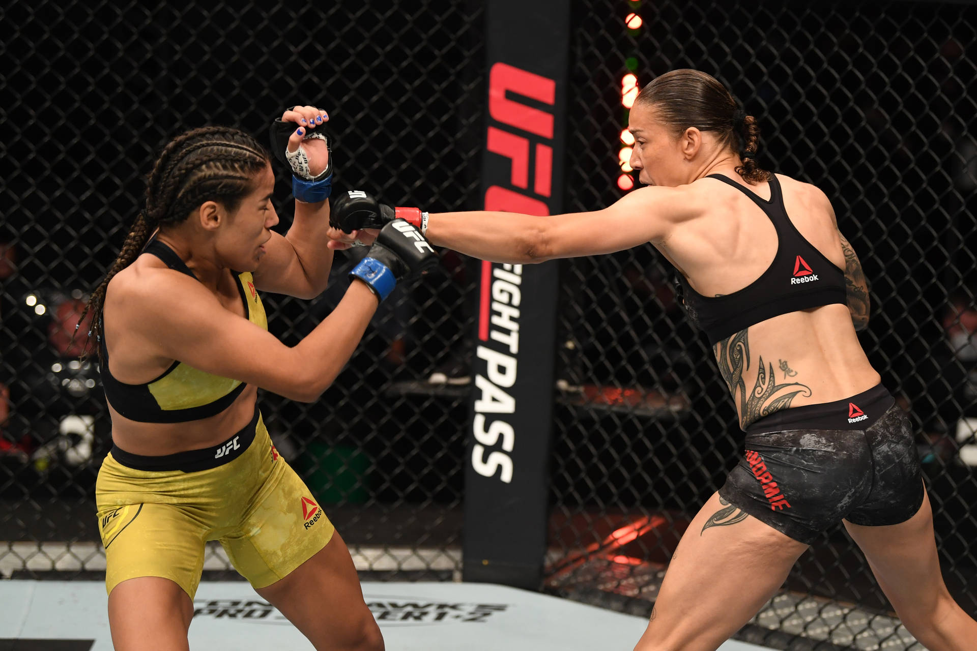 Germaine De Randamie With Julianna Peña Background