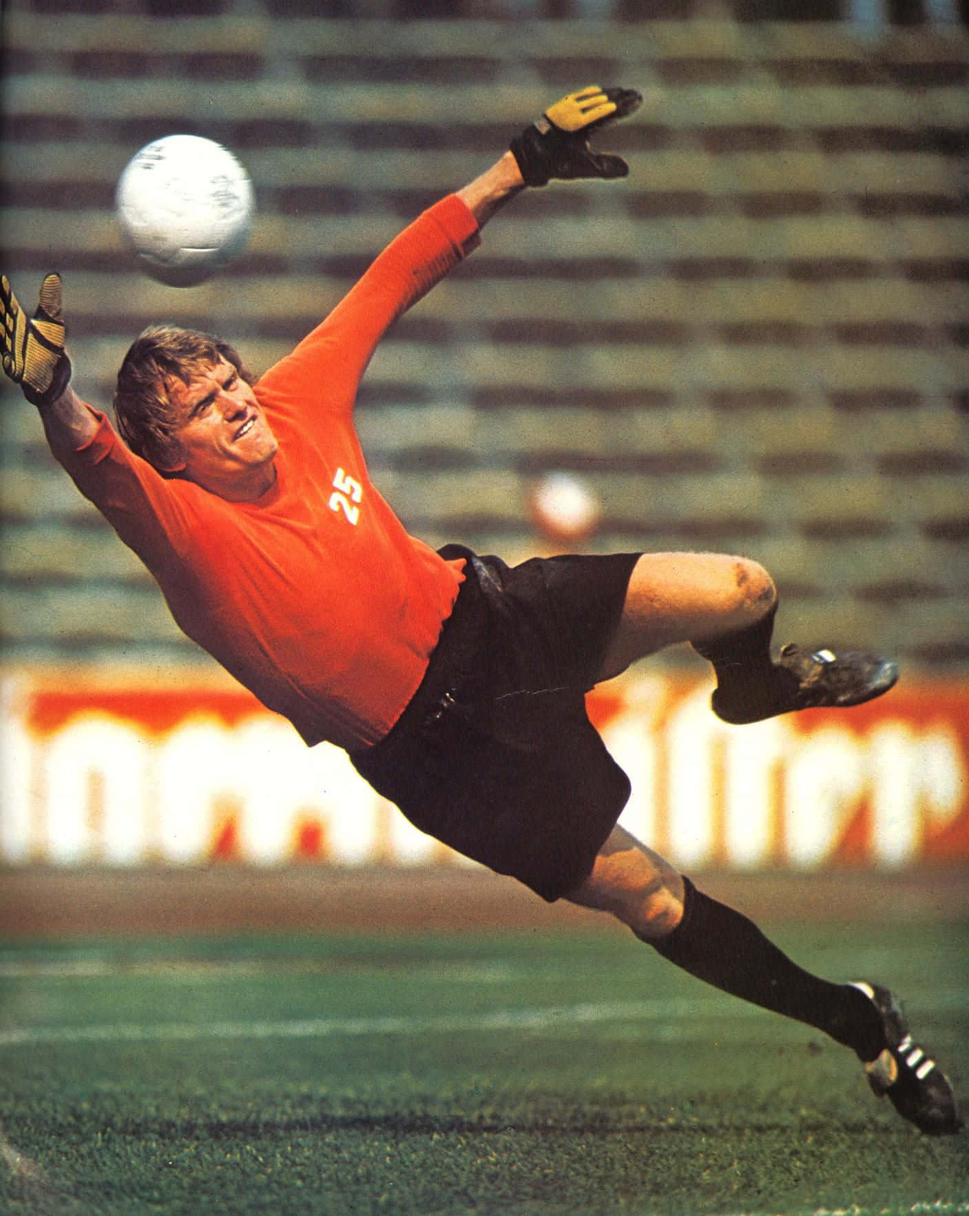 German Former Professional Football Goalkeeper Sepp Maier Save Background