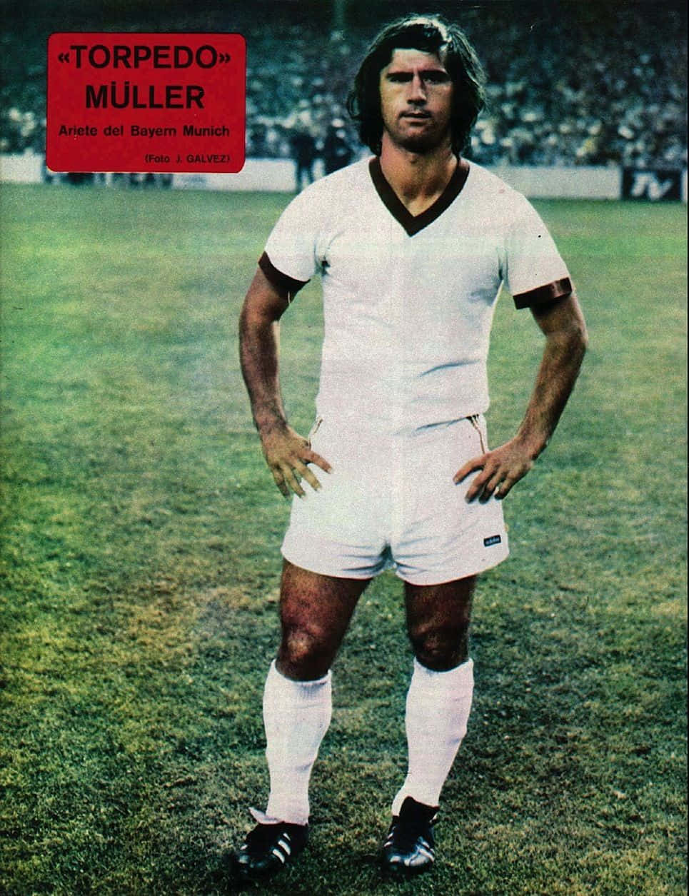 Germany National Team Gerd Muller Poster Card Background
