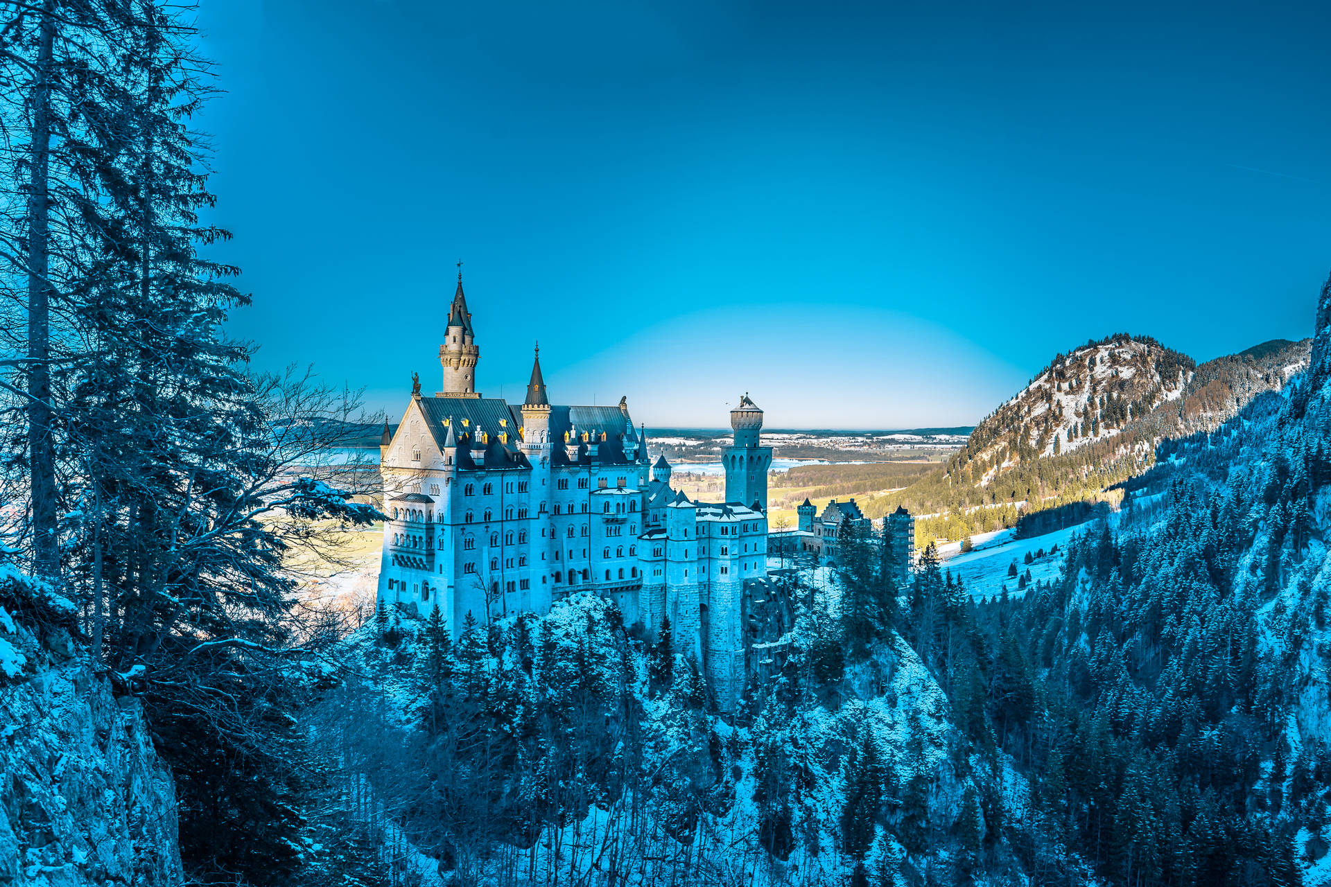 Germany Neuschwanstein Castle In Winter Background