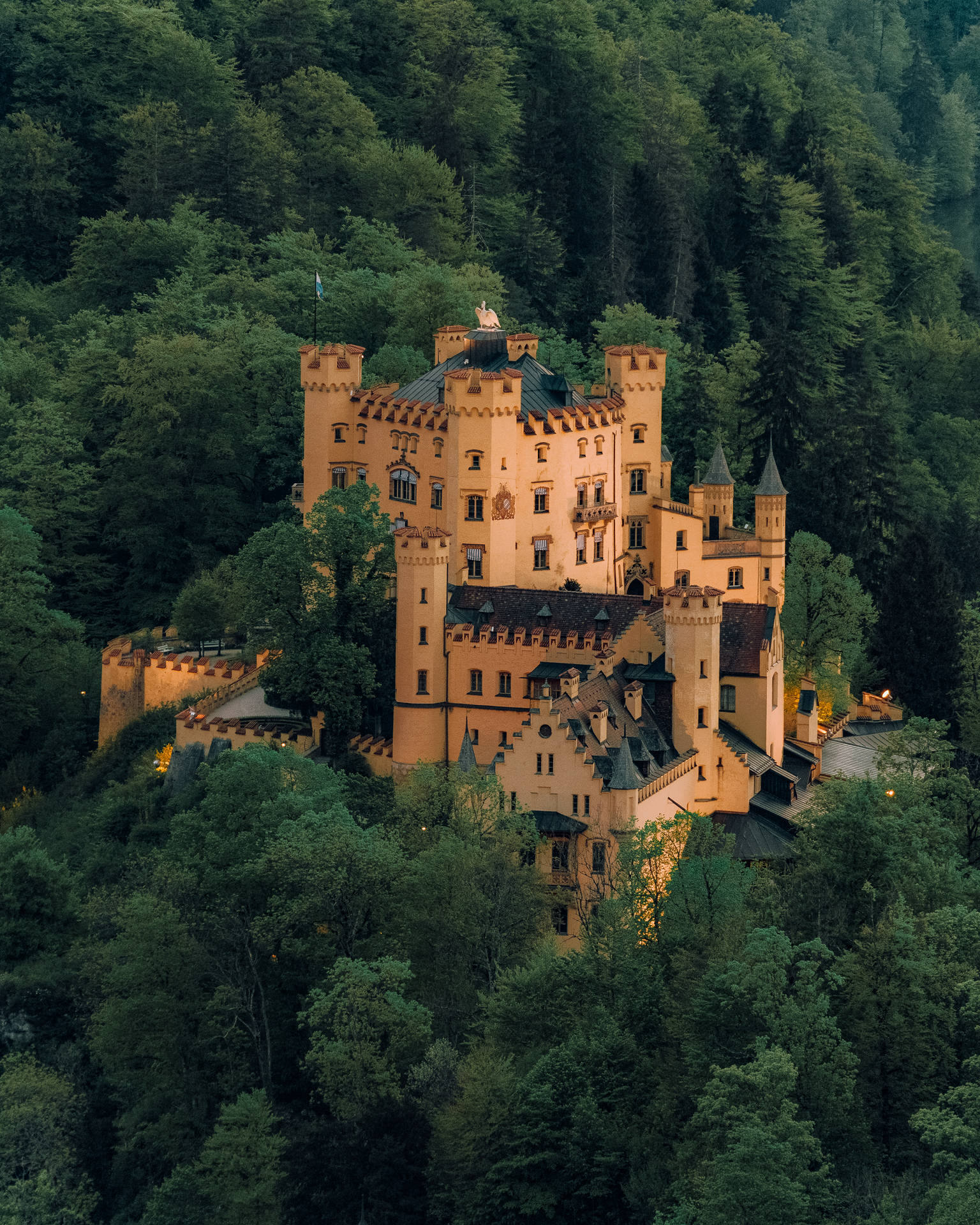 Germany's Secluded Massive Castle Background