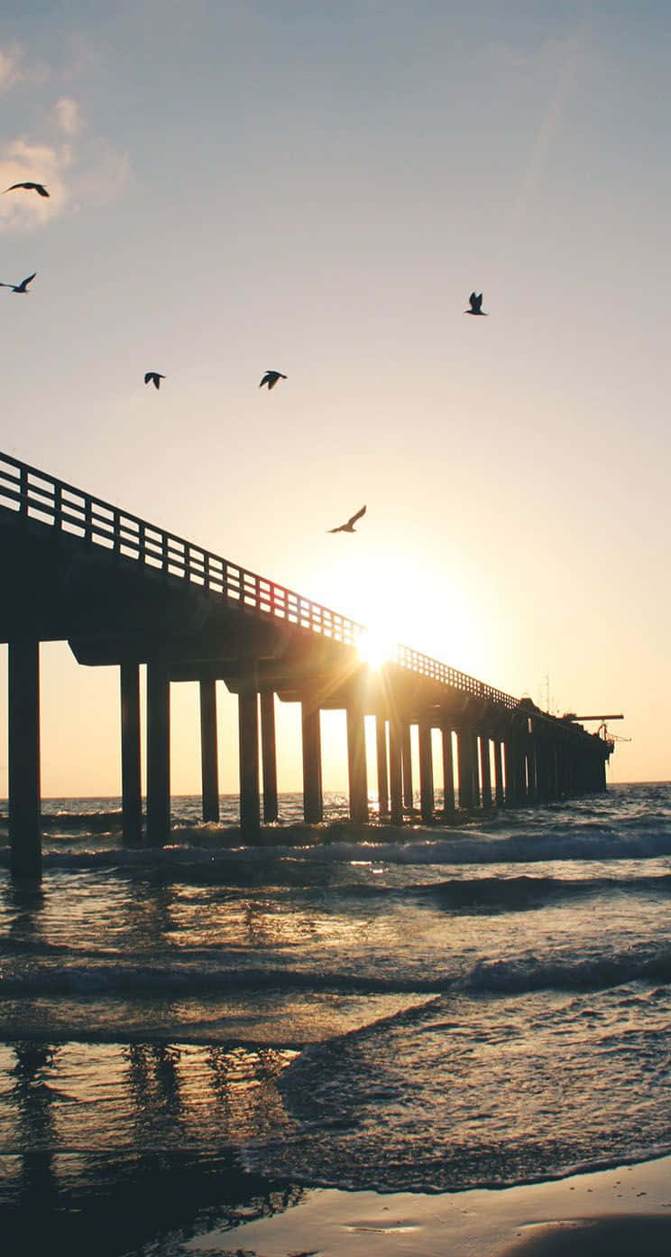 Get A Complete San Diego Experience With This Iphone Wallpaper Background