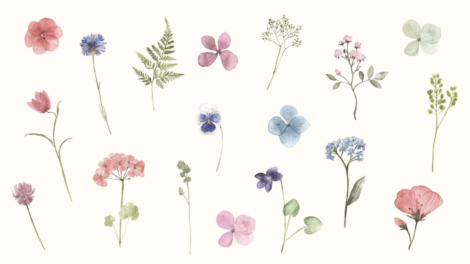 Get Better Productivity With A Plant Aesthetic Laptop Background