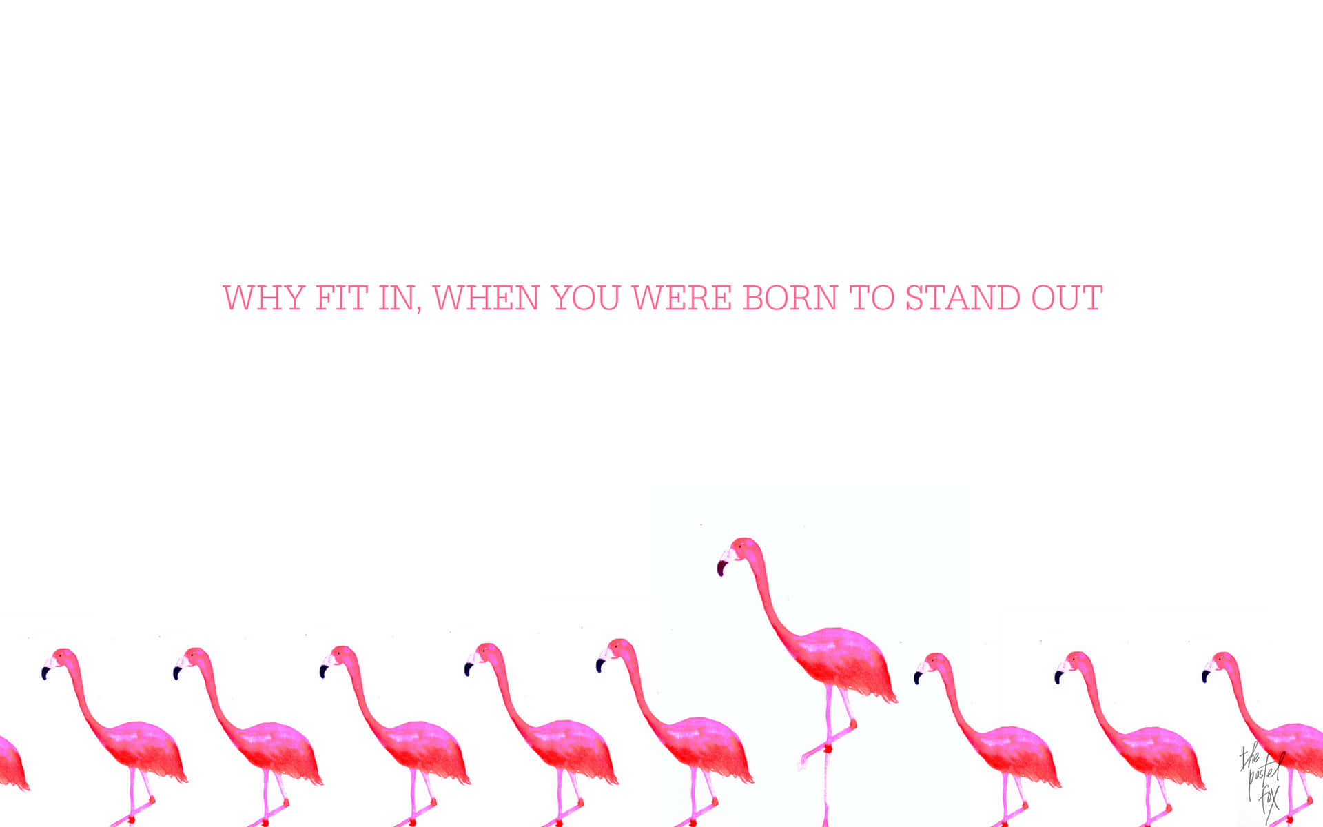 Get Bright And Stylish With This Flamingo Laptop Background