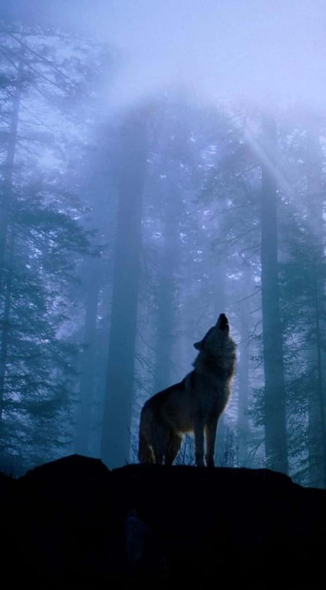 Get Connected With Wolf Phone's Innovative Mobile Technology Background