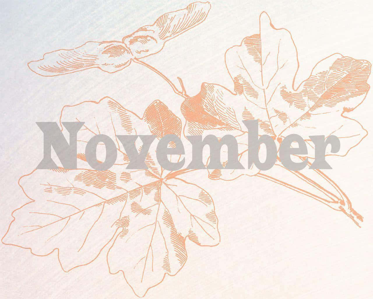 Get Cozy This November! Background