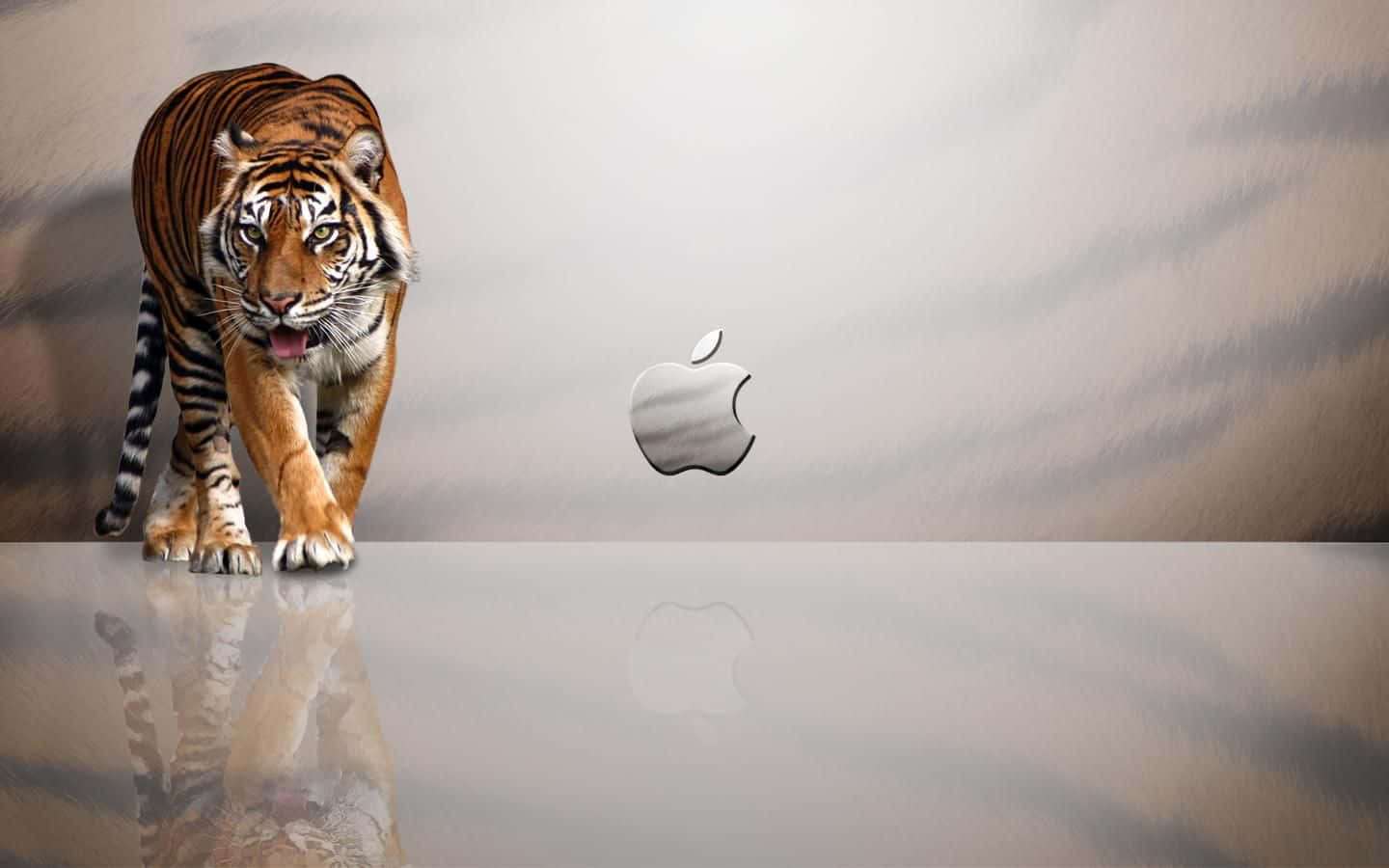Get Cute With This Stylish Mac Laptop Background