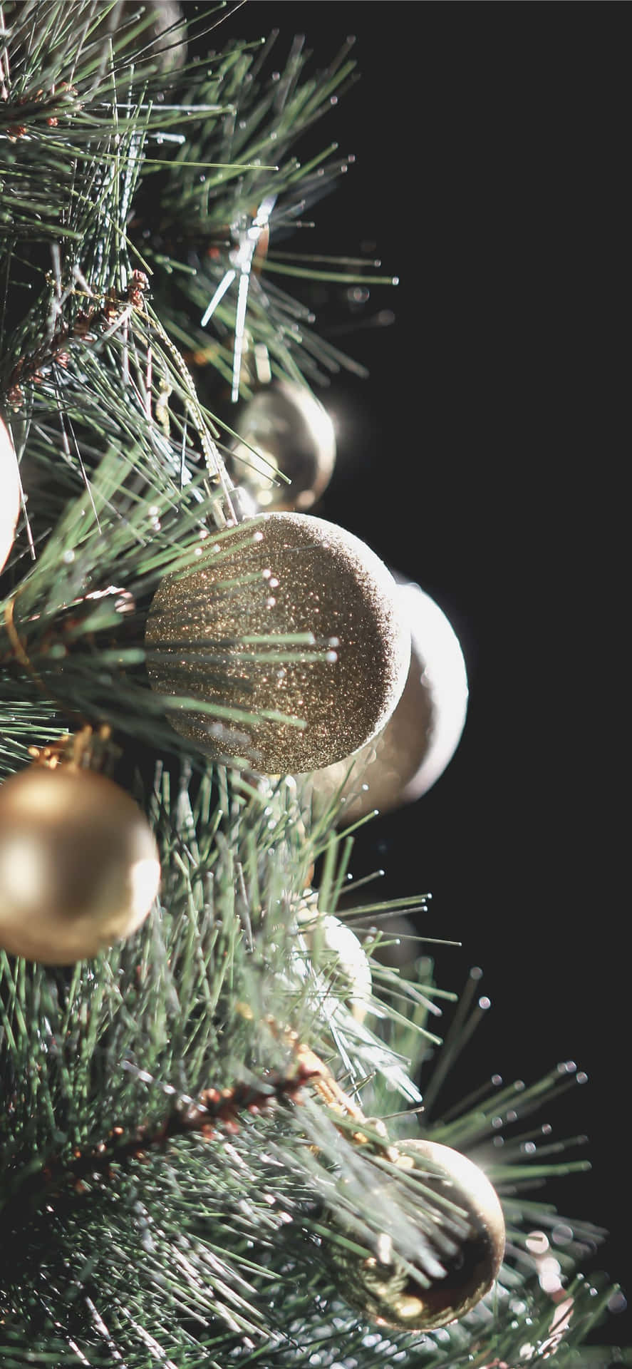 Get Festive This Winter Season With This Cute Christmas Tree! Background