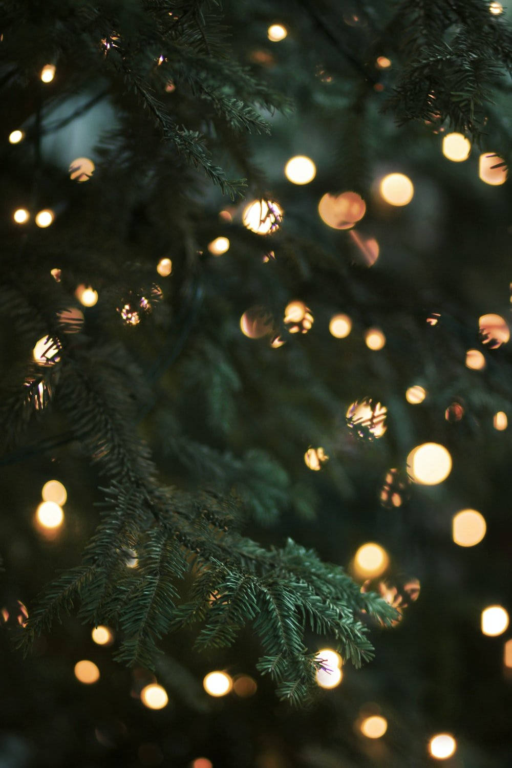 Get Into The Christmas Spirit With A Mesmerizing Display Of Twinkling Lights! Background