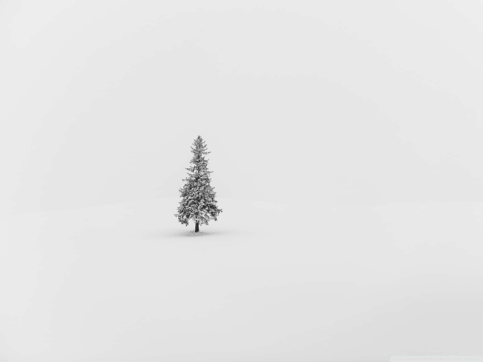 Get Into The Christmas Spirit With This Minimalist Desktop Wallpaper. Background