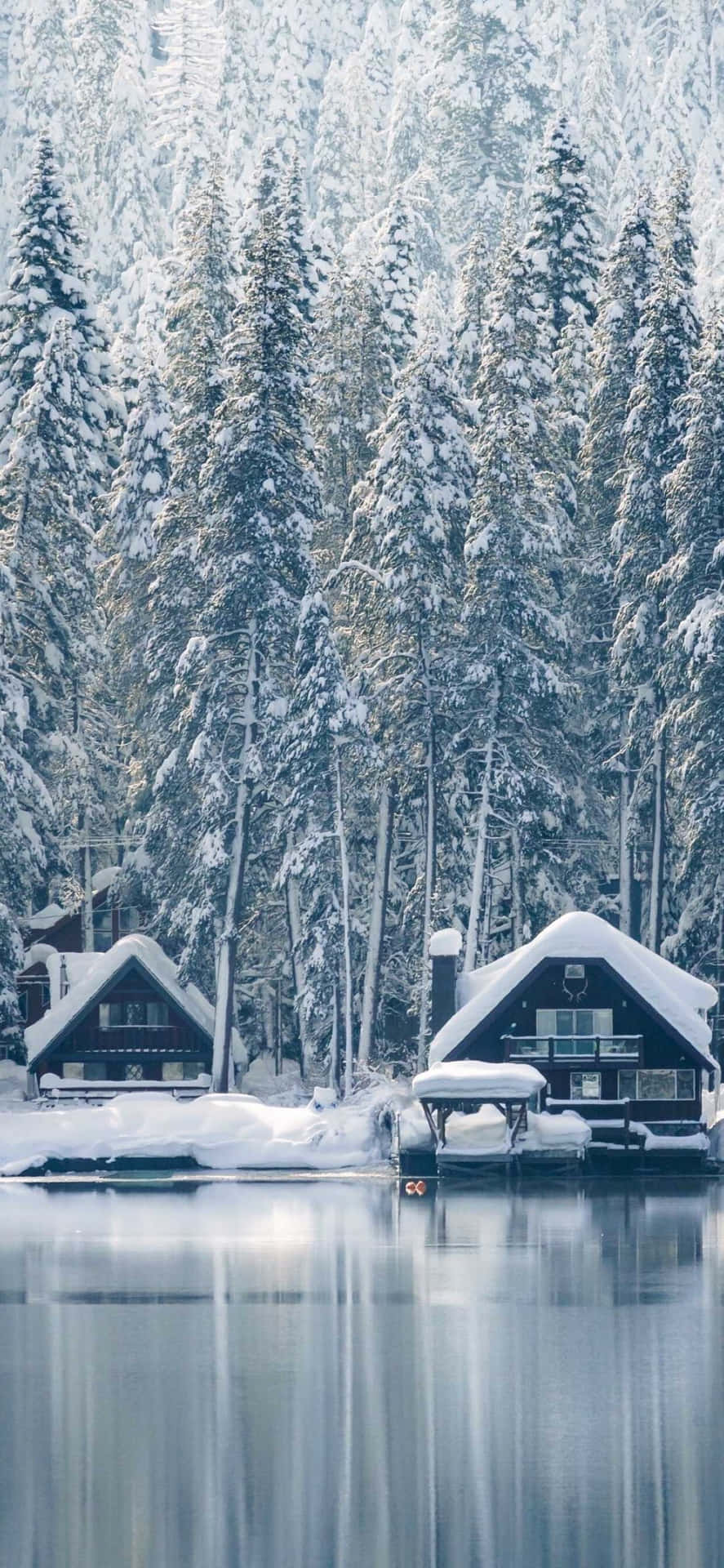 Get Into The Festive Spirit With A Magical Christmas Winter Wonderland Background