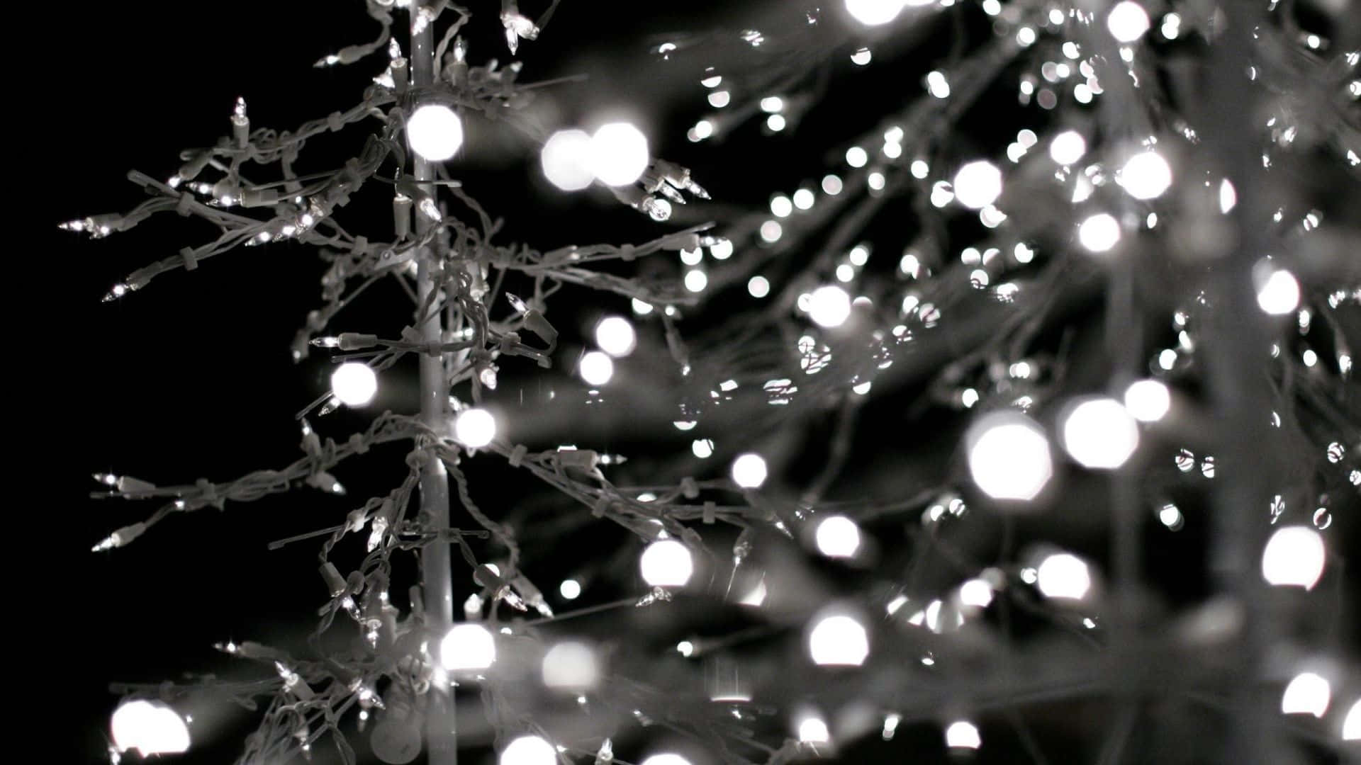 Get Into The Festive Spirit With This Cute Christmas Lights Illustration! Background