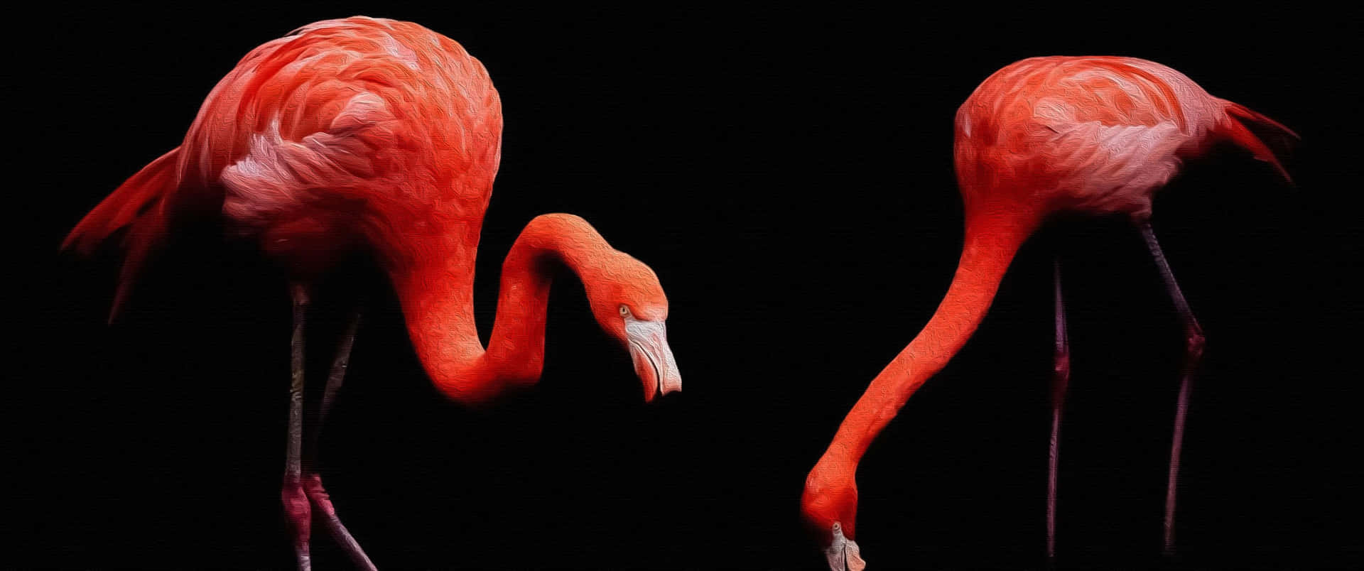 Get Into The Groove With Flamingo Laptop! Background