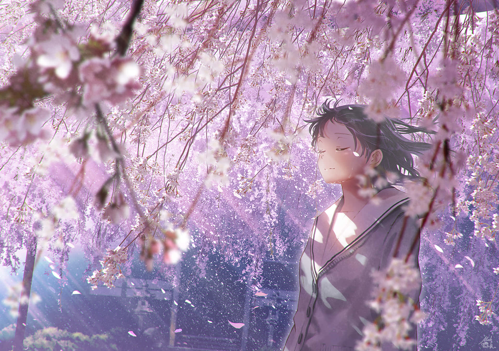 Get Into The Zone With The Sakura Pc Background