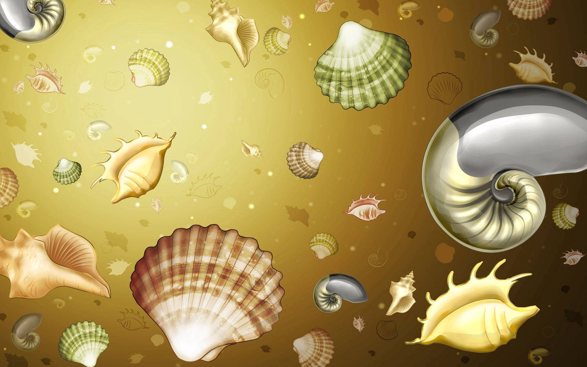 Get Lost In A Visual Odyssey Of Animated Shells Background