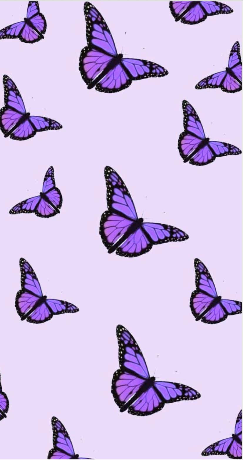 Get Lost In Nature With Purple Butterfly Iphone Wallpaper Background