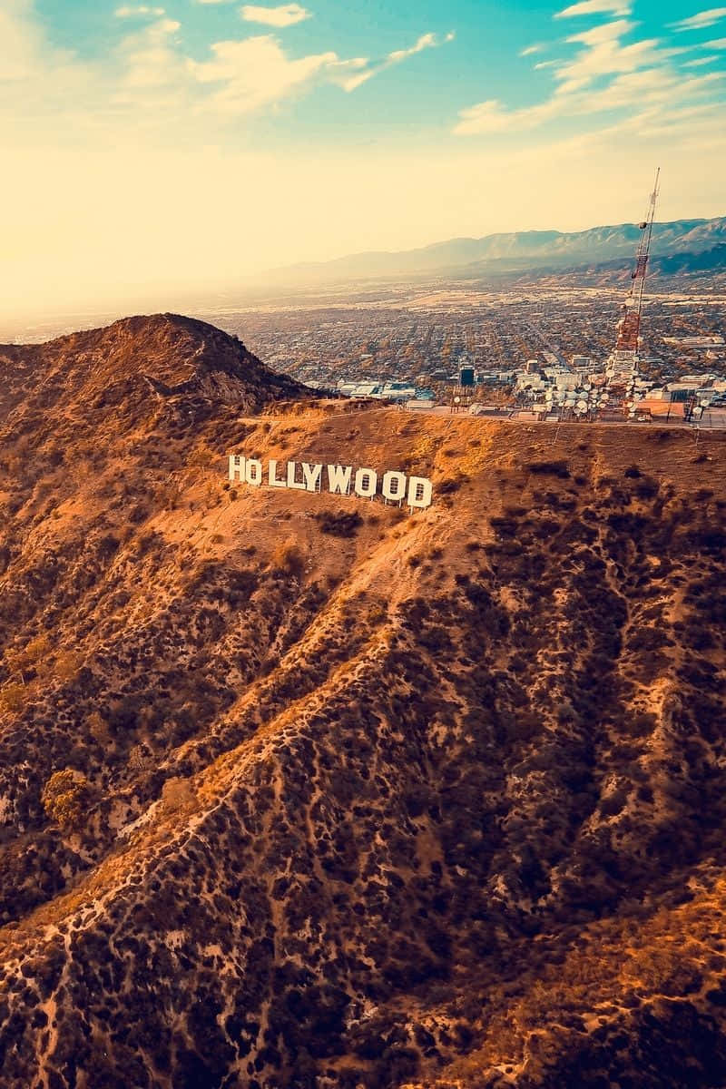 Get Lost In The Beauty Of Los Angeles