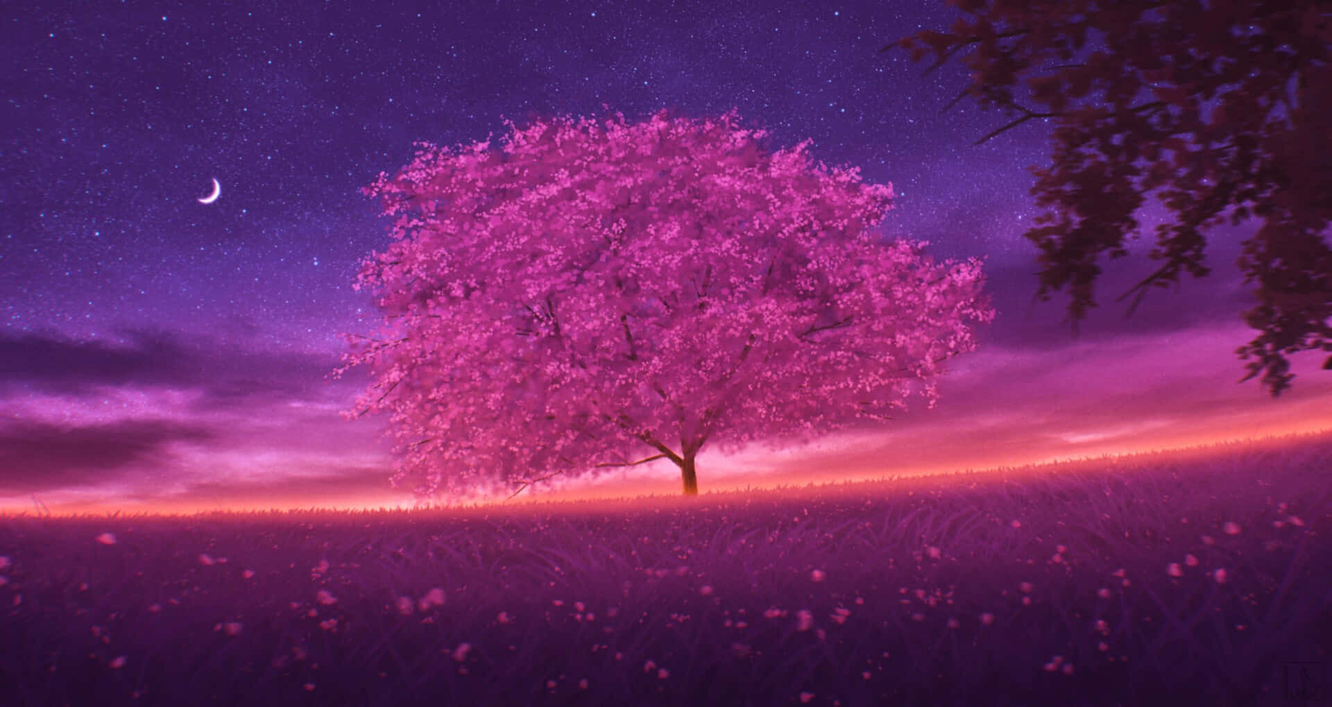 Get Lost In The Beauty Of This Night Cherry Blossom Tree Background