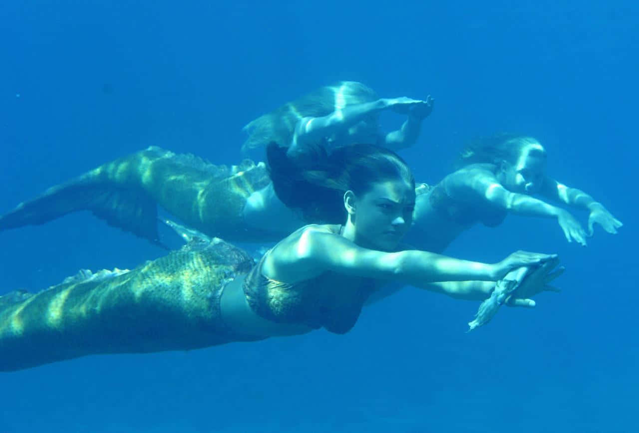 Get Lost In The Magic Of An Undersea Adventure With A Real Mermaid!