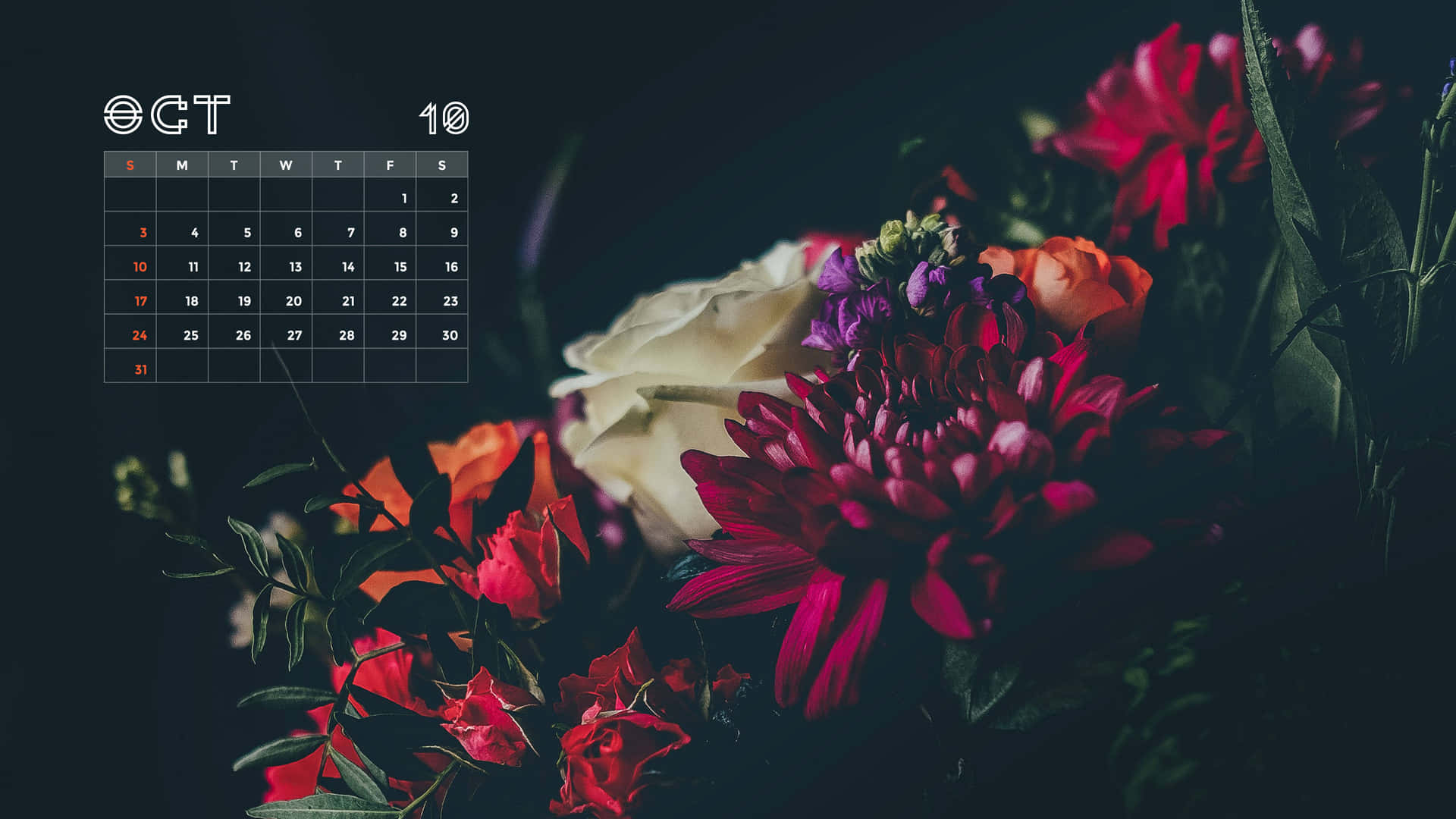 Get Organized And Plan Ahead With This October 2021 Calendar Background