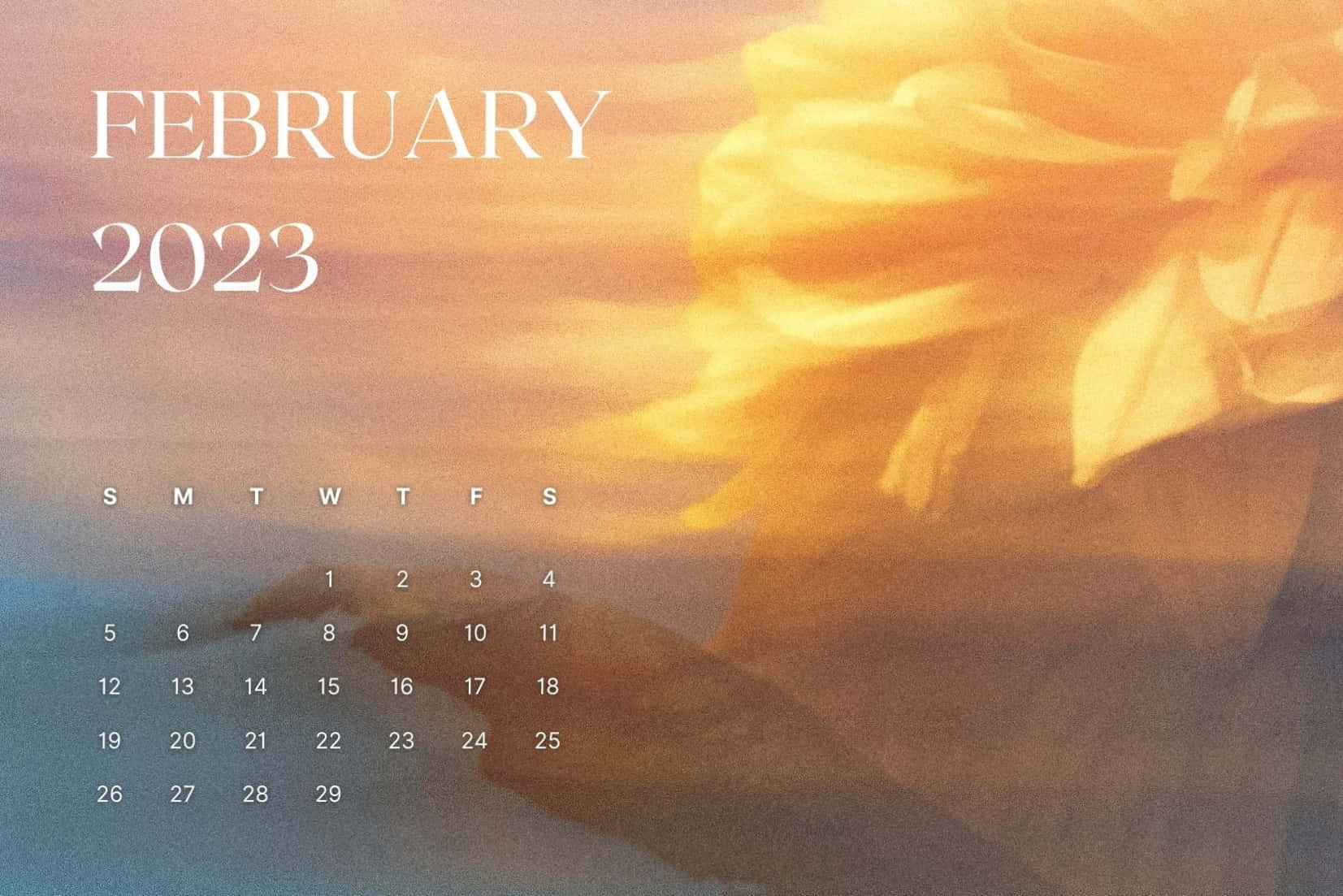 Get Organized For The Month With A February Calendar Background