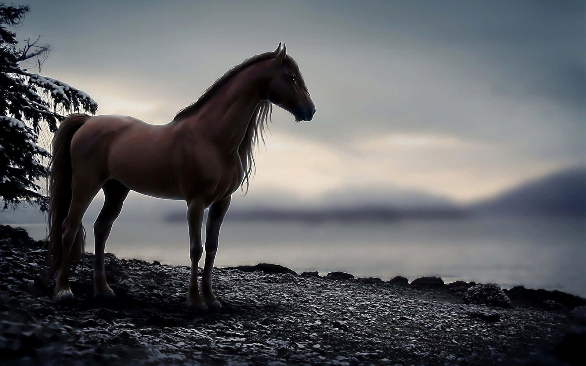 Get Out Of The Gate Fast With This Sleek And Cool Horse Background